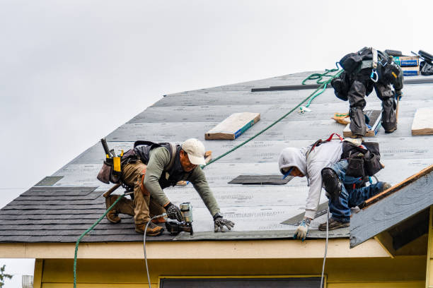 Professional Roofing technician working in Ola, ID